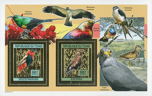 Stamps chad 2012 perf birds - birds, /