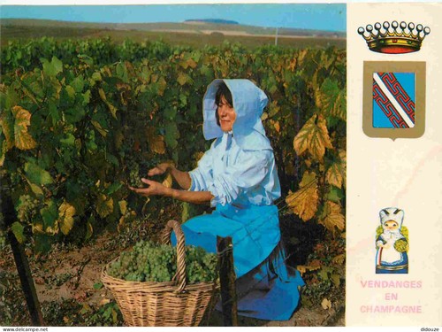 Carte postale vignes - carte,