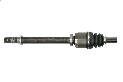 Arbre transmission pascal - arbre,