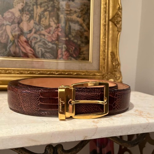 Lorenzi belt