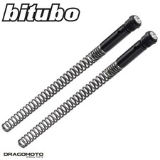 HARLEY DAVIDSON VRSCDX V-ROD