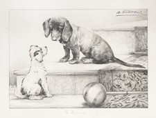 Chien Beagle Ball Escalier