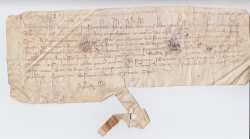 Ecriture gothique coursive - ecriture,
