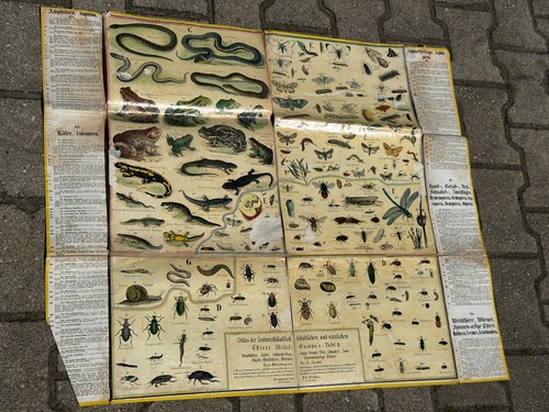 Tableaux muraux anciens atlas - tableaux,