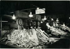 Photo Pierre Parente Paris Commerce Poissonnerie Vers 1960