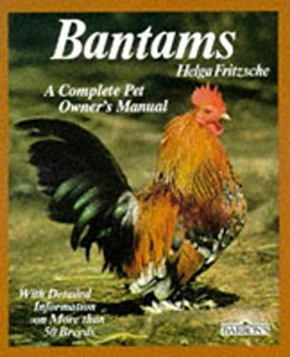 Bantam poules broché helga - bantam,
