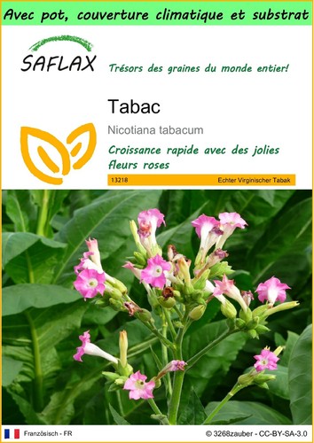 Saflax garden tabac - to, go