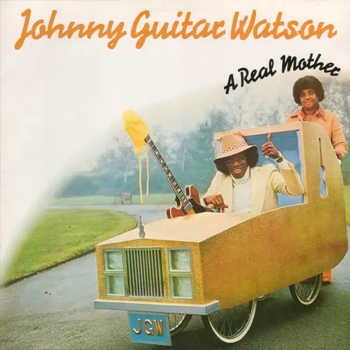 Johnny guitar watson - johnny, real
