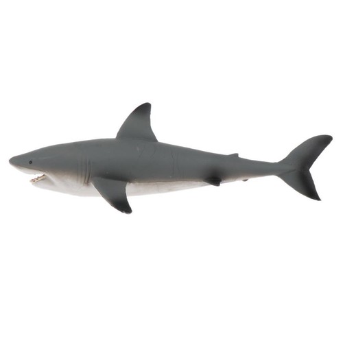 Réaliste modèle requin - réaliste,