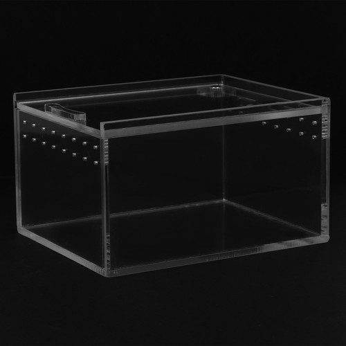 Boîte reptile terrarium - boîte, À