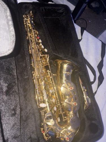 Gold lacquered alto saxophone
