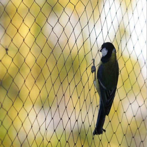 Filet jardin anti oiseaux - filet,