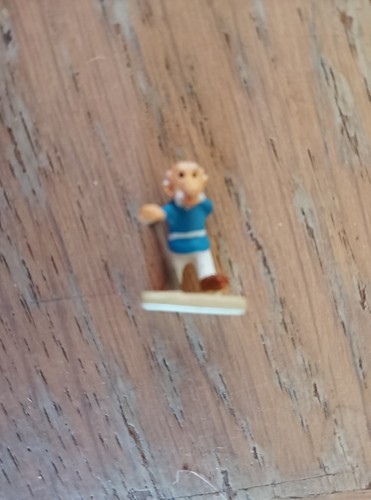 Village astérix agecanonix - astérix,