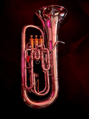 Willson 2900s euphonium custom - willson,