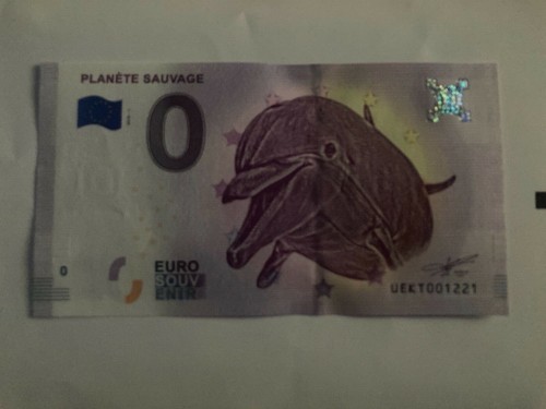 Billet touristique zéro - billet,