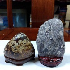 Pierres de chrysanthème de