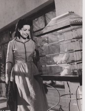 Viviane ROMANCE PHOTOGRAPHIE ORIGINALE R. JOFFRES 23*17