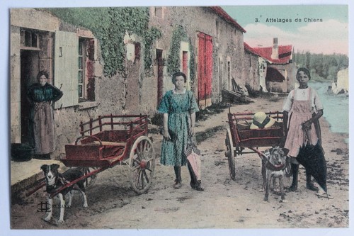 Cpa loiret attelage chien - loiret, de