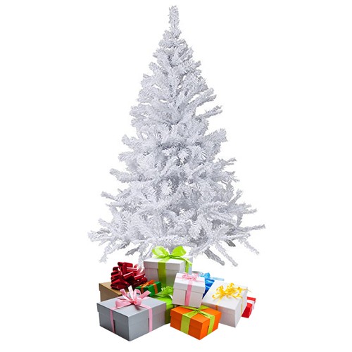 Sapin noël - sapin, de