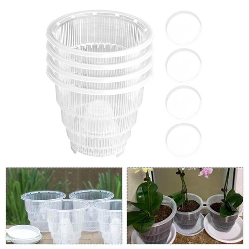 Pots orchidée transparents - d'orchidée,