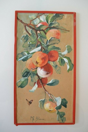 Fruit tree branch - tree,