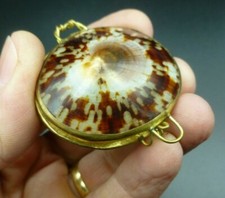 PILULIER  COQUILLAGE  MONTURE