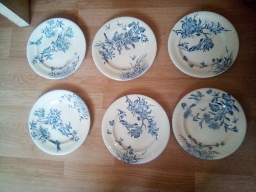 Lot assiettes terre de - en,