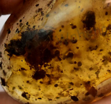 72.70 CT 100% Naturel Jaune