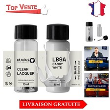 Kit de Retouche Peinture LB9A