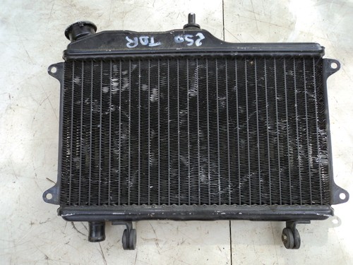 Radiateur yamaha tdr 250 - ,