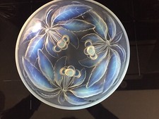 COUPE VERRE MOULÉ Motifs