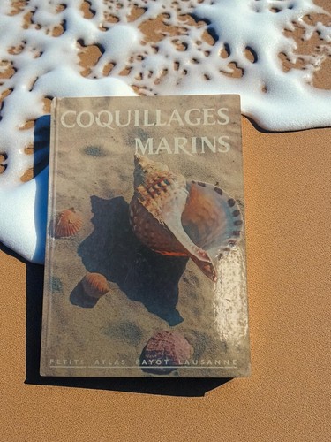 Livre ancien coquillages - ancien,