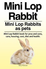 Macy Peterson Mini Lop Rabbit. Mini Lop Rabbits as pets. Mini Lop Rabbit (Poche)