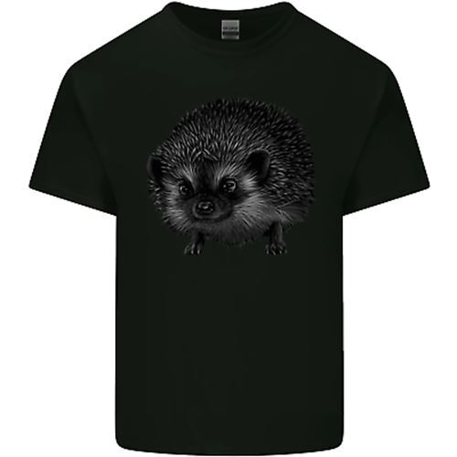 Shirt dessin de hérisson - dessin,