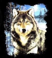 SUPERBE SWEAT SHIRT HAUTE