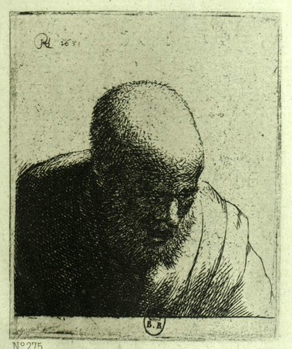 Vieillard tête chauve - vieillard,