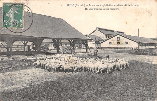 Rille exploitation agricole - 37-rille-exploitation,