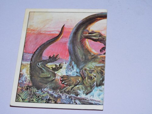 Image panini animaux - image,