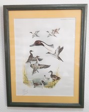Gravure animalière lithographie de Boris RIABOUCHINSKY RIAB étude de canards