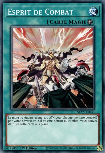 Esprit de combat - esprit,