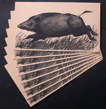 CHASSE lot 8 cartons CIBLE TIR