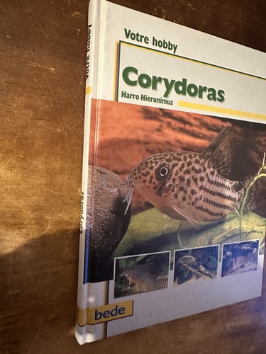 Harro hieronimus corydoras - hieronimus,,