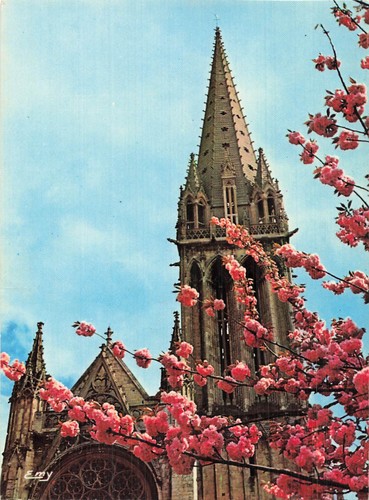 Caen eglise saint pierre - 14,