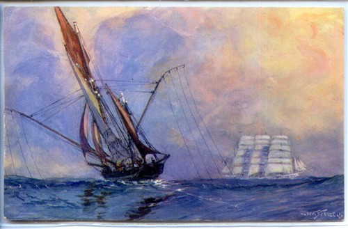 Marine thonier sur - marine,
