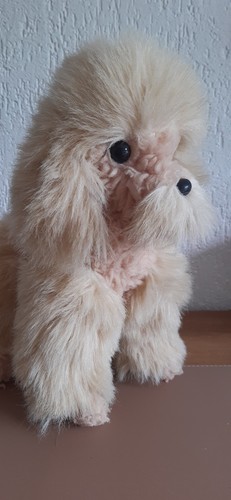 Peluche chien caniche beige