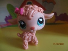 Petshop Mouton #1432/ Blind