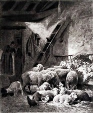 Vue d'une BERGERIE (Par Ch