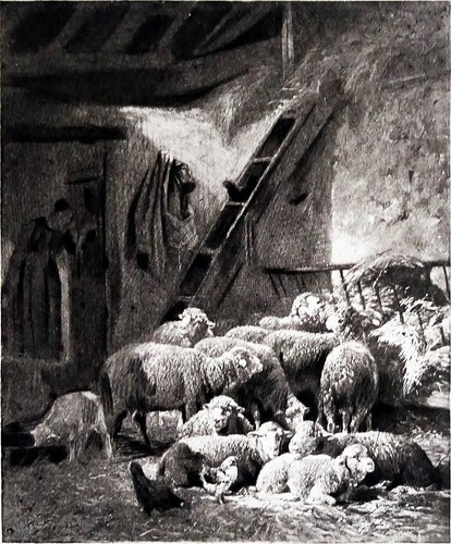 Vue une bergerie - bergerie, (par