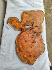 Rare dalle de bois d'olivier