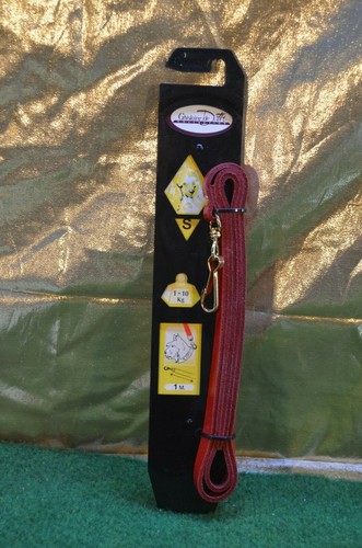 Laisse cuir pour petit - laisse,
